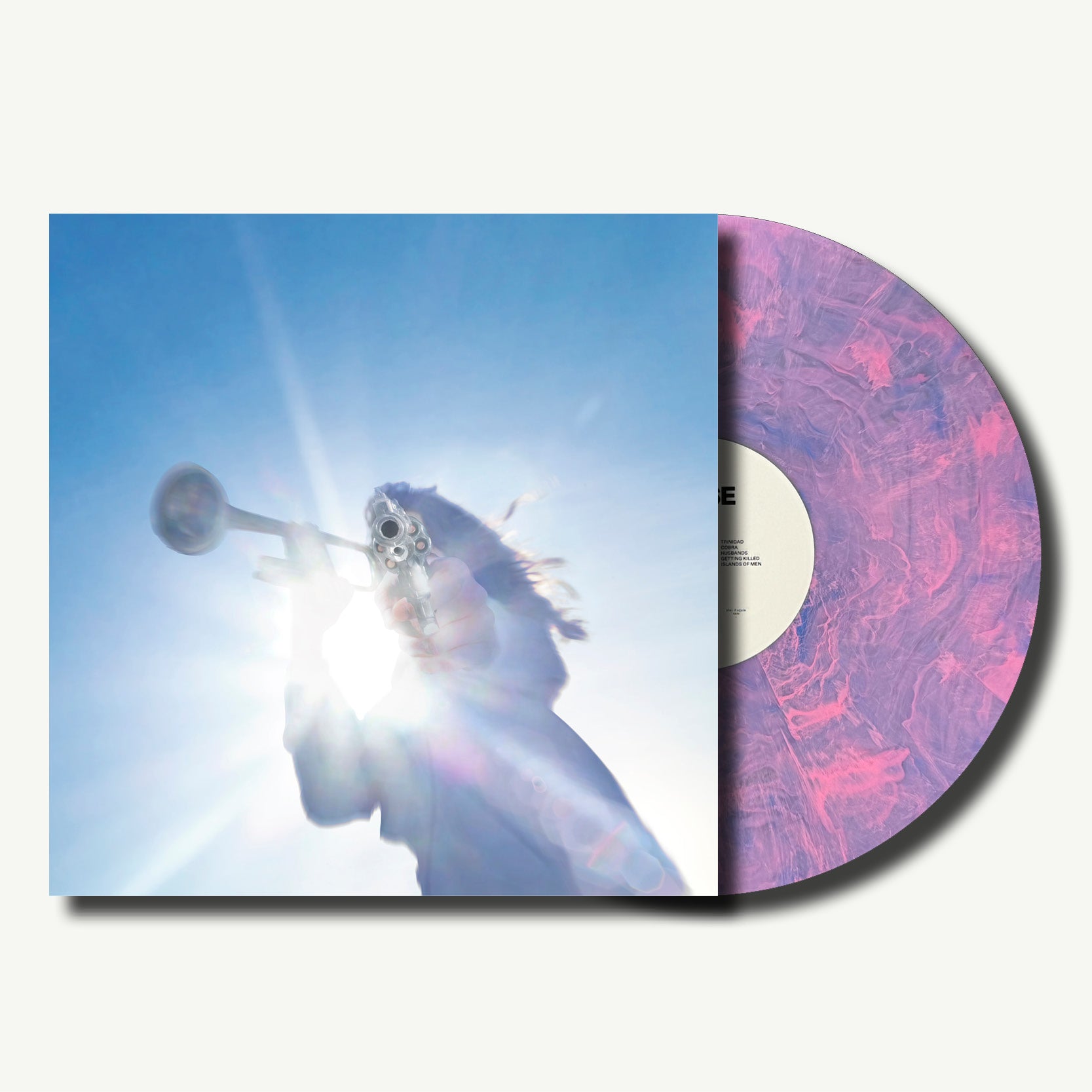 Geese - Getting Killed