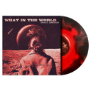 Apollo Junction - What In The World
