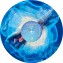 Magdalena Bay - Imaginal Disk