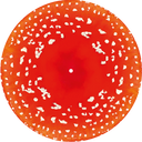Kasabian - Happenings (Trippy Shroom Edition)