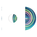 Coldplay - MOON MUSiC