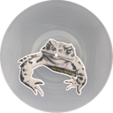 Remi Wolf - Big Ideas (Frog-Rock Edition)